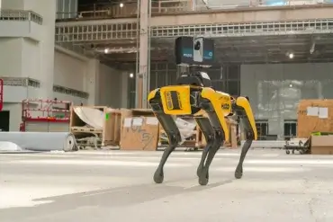 Onippy